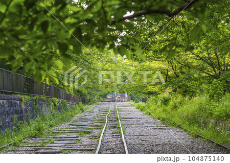 京都 新緑に包まれた蹴上インクライン 初夏の季節 京都 新緑に包まれた蹴上インクライン 初夏の季節 104875140