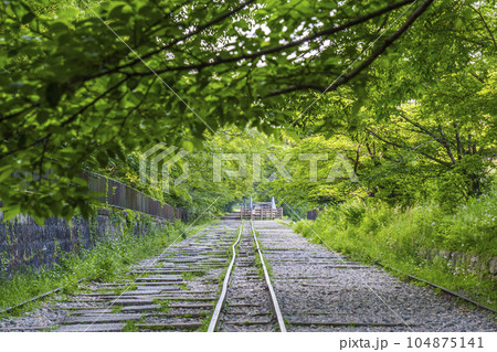 京都 新緑に包まれた蹴上インクライン 初夏の季節 京都 新緑に包まれた蹴上インクライン 初夏の季節 104875141
