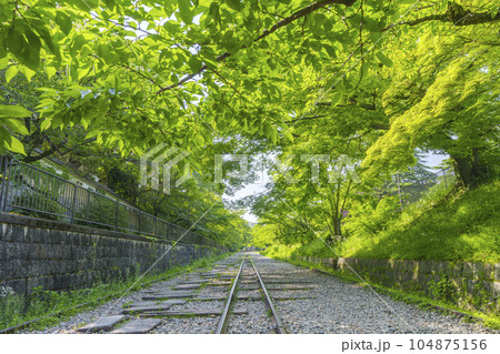 京都　新緑に包まれた蹴上インクライン　初夏の季節 104875156