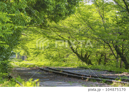 京都 新緑に包まれた蹴上インクライン 初夏の季節 京都 新緑に包まれた蹴上インクライン 初夏の季節 104875170