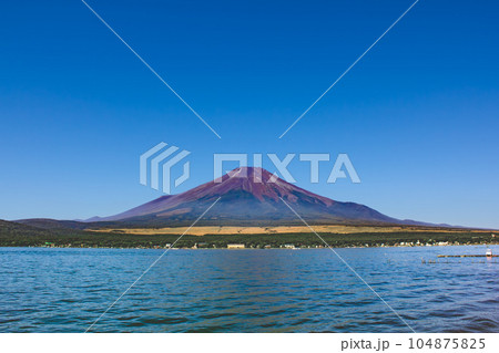 山梨県長池親水公園から山中湖越しに見える富士山 104875825