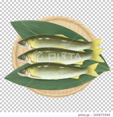 Hand drawn illustration of sweetfish on a strainer Hand drawn illustration of sweetfish on a strainer 104875940