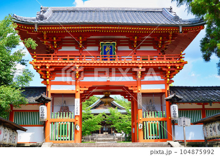 京都 新日吉神宮 京都 新日吉神宮 104875992