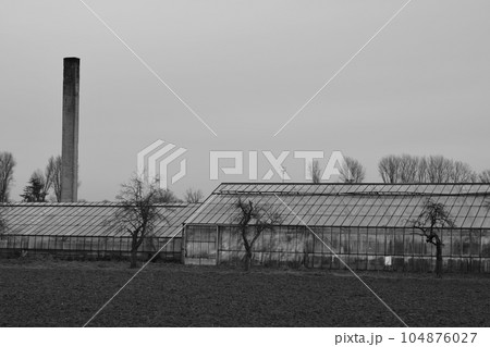 Low-angle view of an old glass greenhouse and chimney near Meerbusch, Germany 104876027