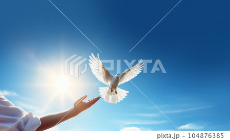 Hands releasing white doves in blue sky with sunrise during sunset. Symbol of Freedom and peace on blue background with copy space 104876385