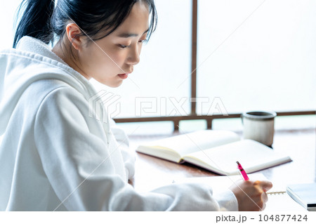 勉強をする女子高生 104877424