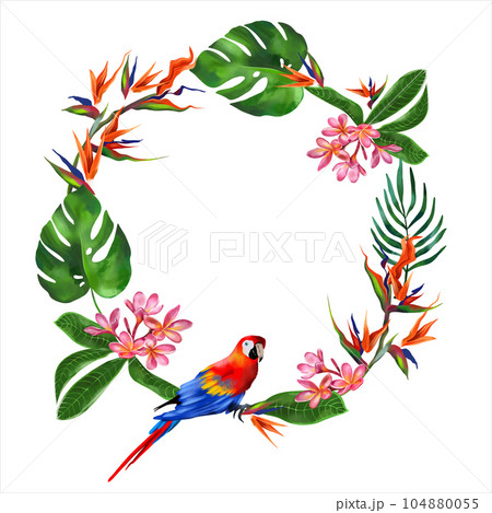 Macaw parrot and exotic plants. Watercolor tropical wreath isolated on white background. Greeting cards, wedding invitations, flyers and banners. Macaw parrot and exotic plants. Watercolor tropical wreath isolated on white background. Greeting cards, wedding invitations, flyers and banners. 104880055