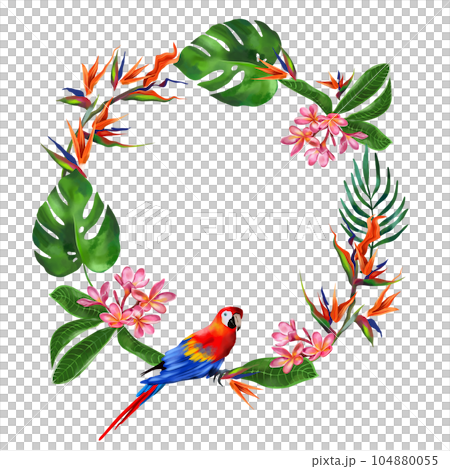 Macaw parrot and exotic plants. Watercolor tropical wreath isolated on white background. Greeting cards, wedding invitations, flyers and banners. Macaw parrot and exotic plants. Watercolor tropical wreath isolated on white background. Greeting cards, wedding invitations, flyers and banners. 104880055