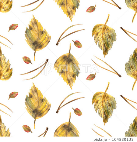 Yellow autumn birch leaves with pine needles. Watercolor illustration hand drawn. Forest seamless pattern on a white background. 104880135