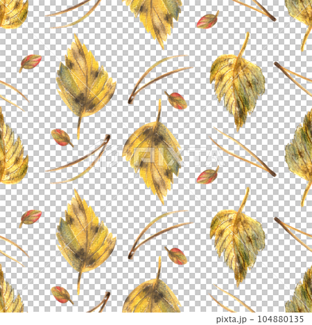Yellow autumn birch leaves with pine needles. Watercolor illustration hand drawn. Forest seamless pattern on a white background. 104880135