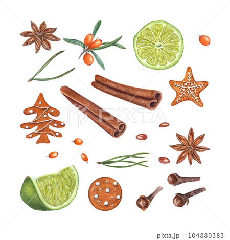 Watercolor set of cinnamons, star anise, lime slices, sea buckthorn berry, gingerbread cookie, spruce, cloves isolated on white background. Illustration for Christmas and New Year design, spice shops Watercolor set of cinnamons, star anise, lime slices, sea buckthorn berry, gingerbread cookie, spruce, cloves isolated on white background. Illustration for Christmas and New Year design, spice shops 104880383