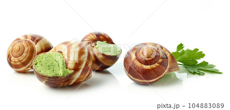 escargot snail filled with garlic and parsley butter escargot snail filled with garlic and parsley butter 104883089