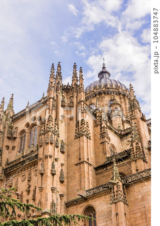 Salamanca cathedral architecture detail with no people. Castile and leon baroque and gothic facade Salamanca cathedral architecture detail with no people. Castile and leon baroque and gothic facade 104883747
