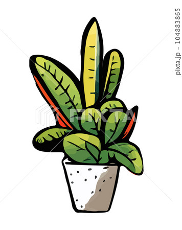 Urban jungle, trendy home decor with plant, cacti, tropical leaves in stylish pot. Vector illustration 104883865