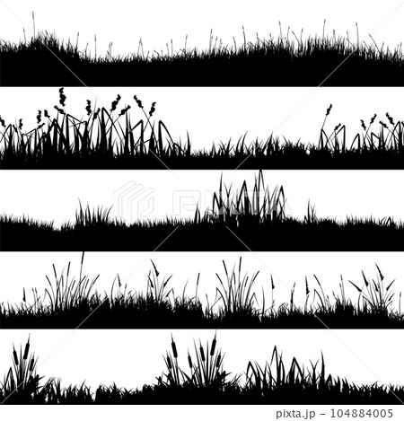 Meadow silhouettes with grass, plants on plain. Panoramic summer lawn landscape with herbs, various weeds. Herbal border, frame element. Black horizontal banners. Vector illustration 104884005