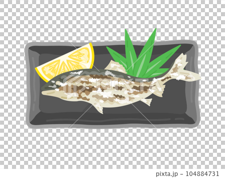 Illustration of salt-grilled sweetfish served on a plate 104884731