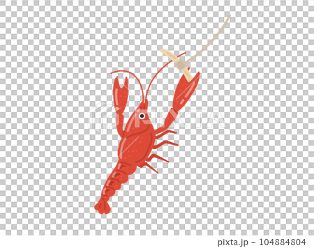 illustration of crawfish fishing illustration of crawfish fishing 104884804
