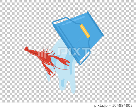アメリカザリガニの放流のイラスト アメリカザリガニの放流のイラスト 104884805