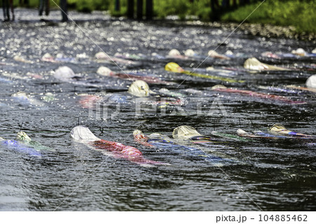 浅野川鯉流し 104885462