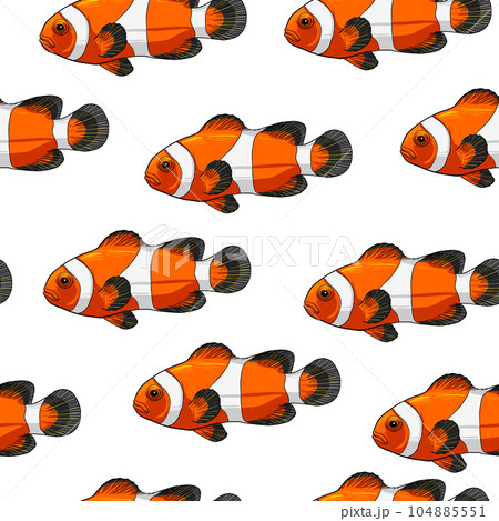 Clownfish seamless pattern 104885551