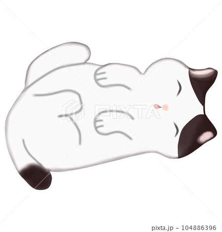 cat cute lucky cat cat cute lucky cat 104886396