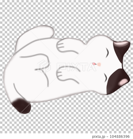 cat cute lucky cat cat cute lucky cat 104886396