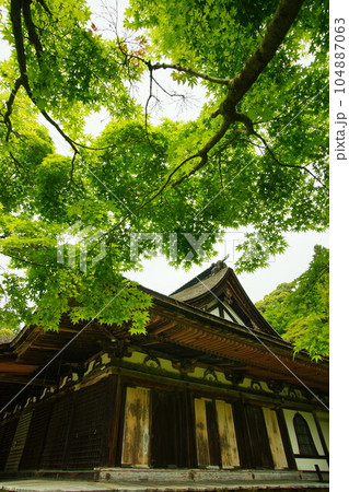青もみじが映える初夏の西明寺 （滋賀県犬上郡甲良町, 2022年5月） 104887063