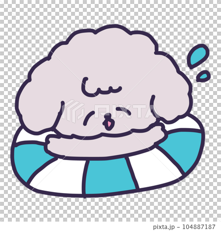 一隻可愛的玩具貴賓犬帶著浮標游泳的插圖 一隻可愛的玩具貴賓犬帶著浮標游泳的插圖 104887187