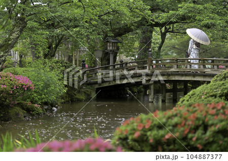 小雨降る兼六園を散策する着物女子 104887377