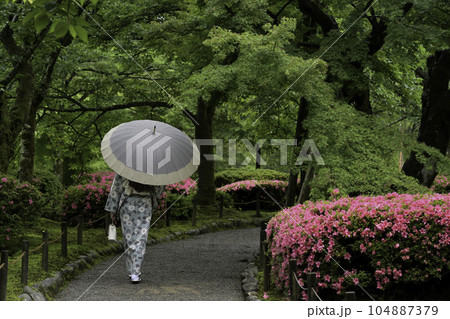 小雨降る兼六園を散策する着物女子 104887379