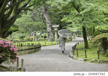小雨降る兼六園を散策する着物女子 小雨降る兼六園を散策する着物女子 104887382