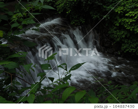 七夕飾りの貴船神社 104887430