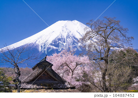 《山梨県》富士山と桜・忍野八海 《山梨県》富士山と桜・忍野八海 104887452
