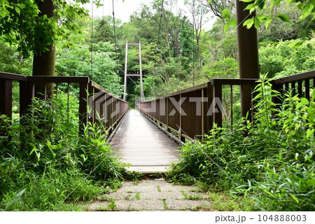 町田市 都立小山田緑地梅木窪分園のつり橋 町田市 都立小山田緑地梅木窪分園のつり橋 104888003