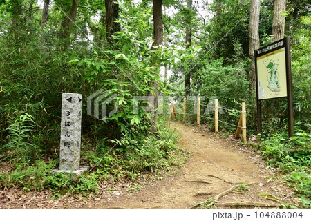 町田市 都立小山田緑地梅木窪分園の散策路と小山田緑地案内図 町田市 都立小山田緑地梅木窪分園の散策路と小山田緑地案内図 104888004