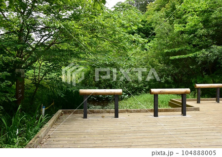 町田市　都立小山田緑地梅木窪分園のアサザ池 104888005