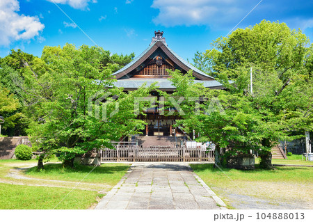 京都　新日吉神宮 104888013