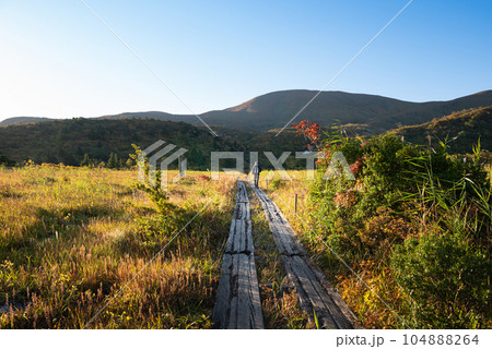 紅葉の栗駒登山須川コース　木道の名残ヶ原 104888264