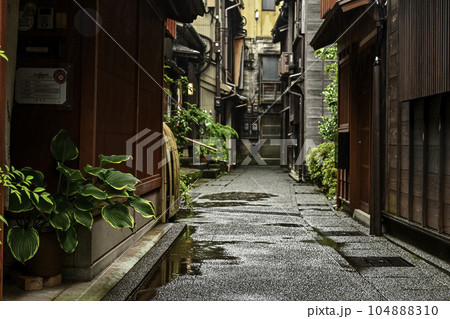 雨が降る主計町茶屋街のアジサイ 雨が降る主計町茶屋街のアジサイ 104888310