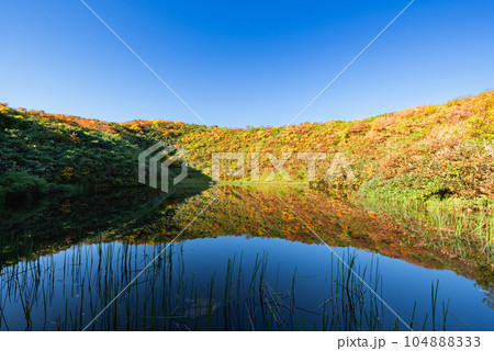 紅葉の栗駒登山須川コース　水鏡の産沼 104888333