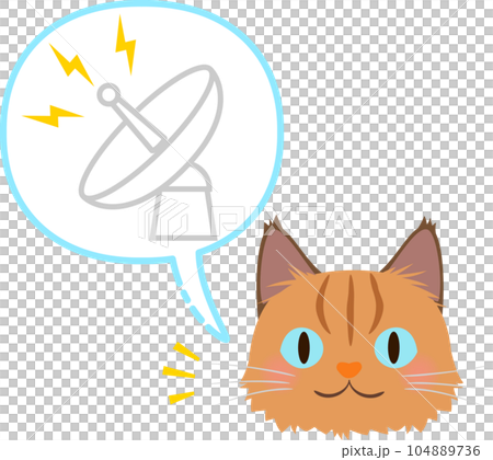 An image of a cat's whiskers and antenna 104889736