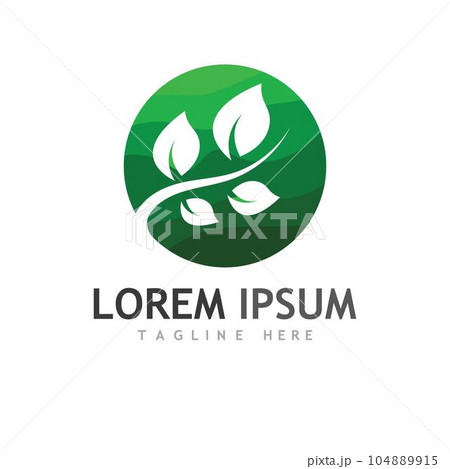leaf logo and vector images 104889915