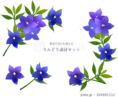 水彩風　りんどうの花　素材フレーム 104891112