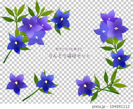 水彩風　りんどうの花　素材フレーム 104891112