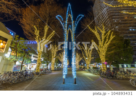 イルミネーションが輝く光が丘公園　東京夜景 104893431