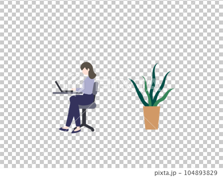A woman using a laptop and a foliage plant A woman using a laptop and a foliage plant 104893829