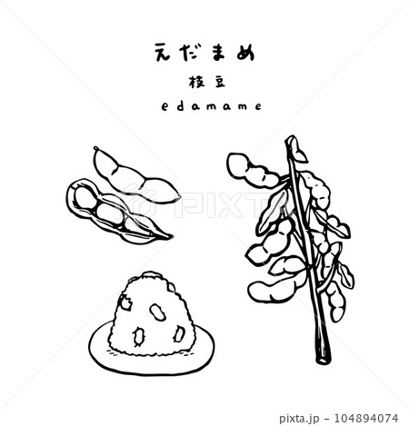 枝豆　枝豆のおにぎり　枝付き枝豆　線画 104894074