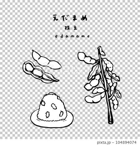 枝豆　枝豆のおにぎり　枝付き枝豆　線画 104894074