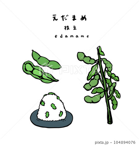 枝豆　枝豆のおにぎり　枝付き枝豆　カラーイラスト 104894076