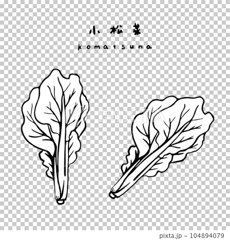 小松蔬菜線描 104894079